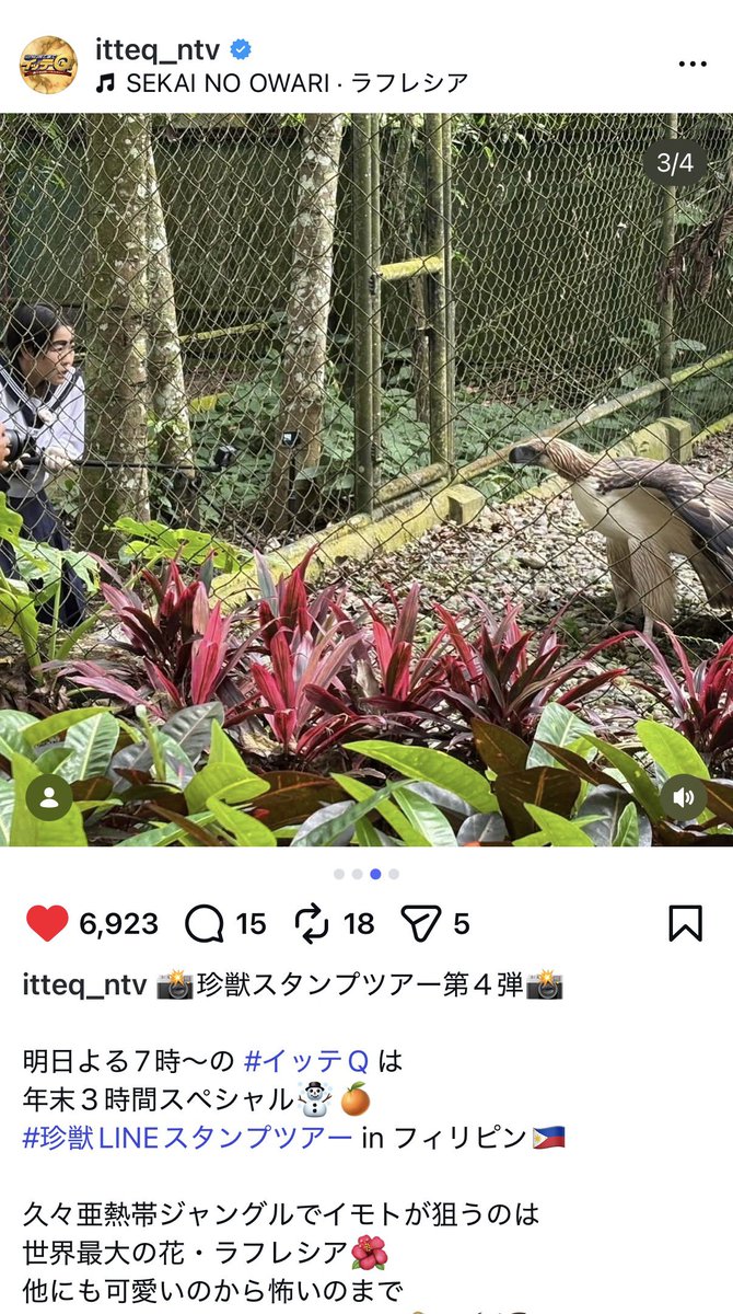 ペイペイ🌏 🔚 tweet media