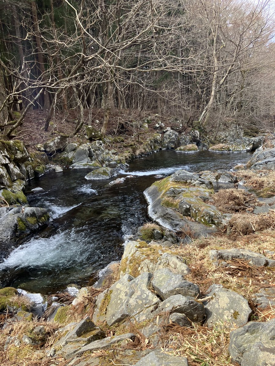 てった tweet media