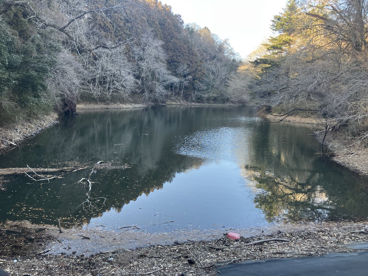 てった tweet media