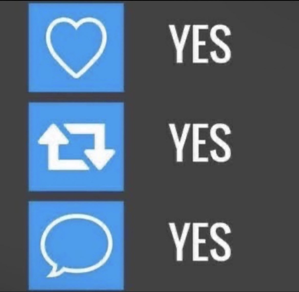 Uranari Ravencroft🌿🎼🐱🦚🔮🎨🐿 tweet media