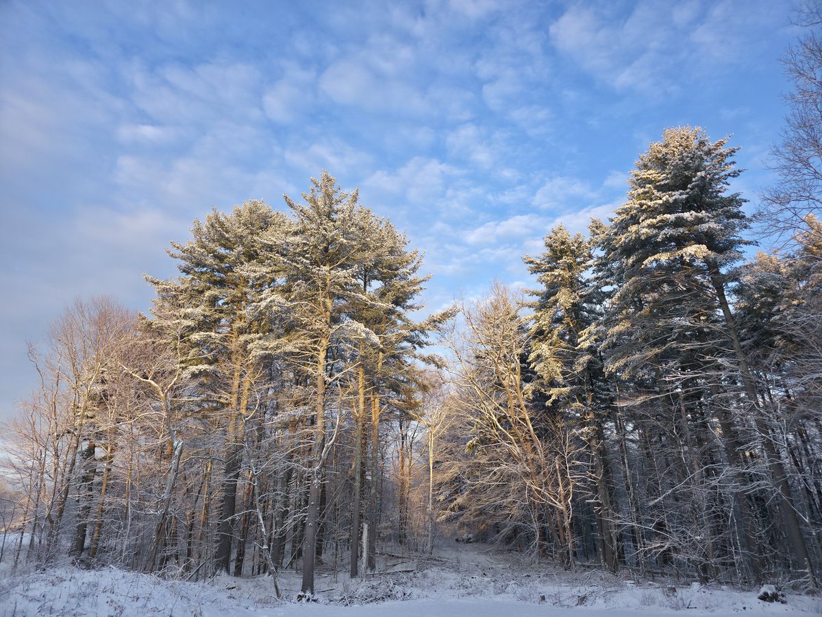 Yesterday in East Kingston, New Hampshire #environment #nature #NaturePhotography #photo #photography #NH #NHwx #NewHampshire #landscape #landscapephotography #trees #sky #snow #winter #photographer