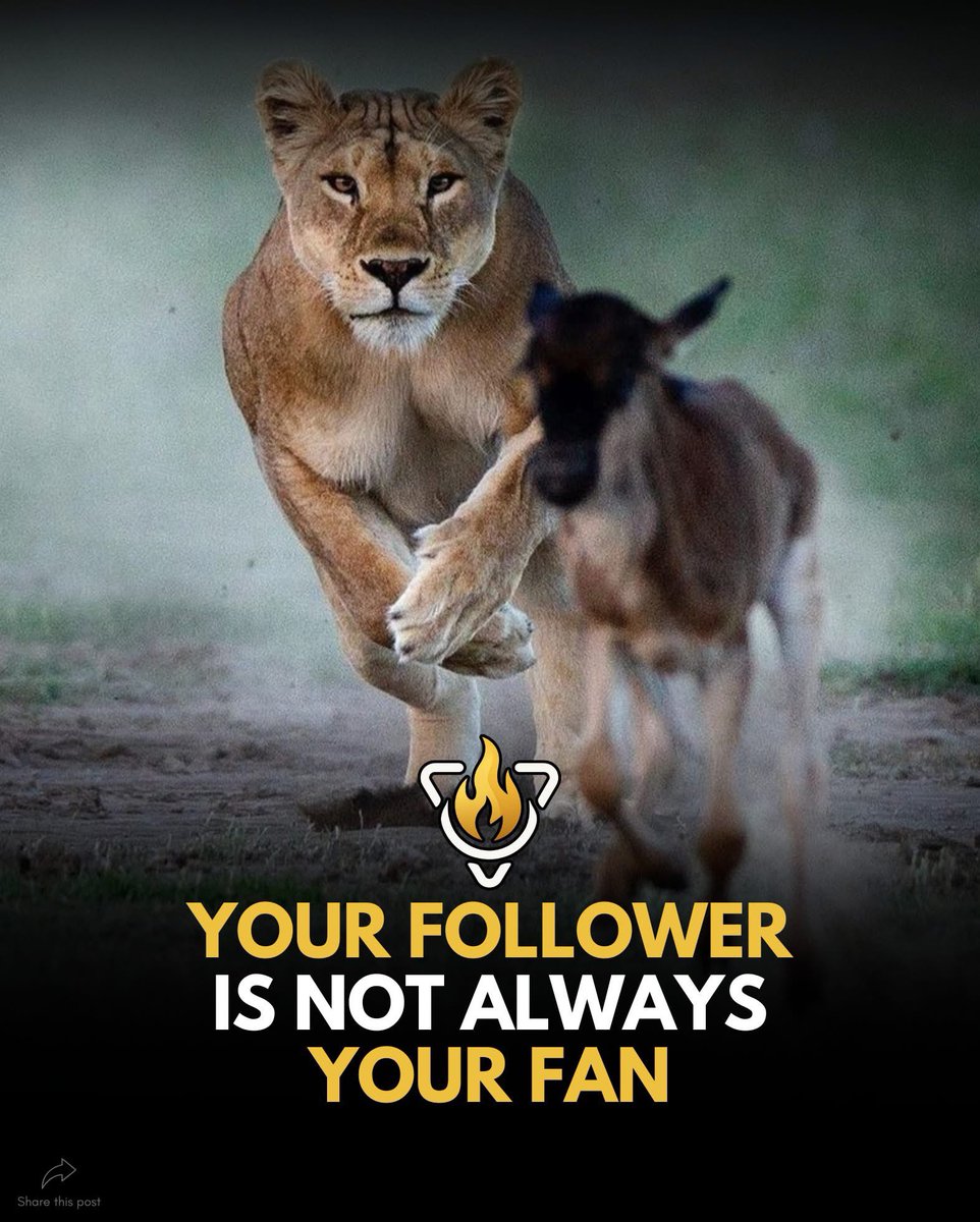 GJ54083693's tweet image. 🔥 Attention Isn’t Loyalty 🔥

#TheInnerCommand #Awareness #Leadership #Mindset #Virals #Motivation #Entrepreneur