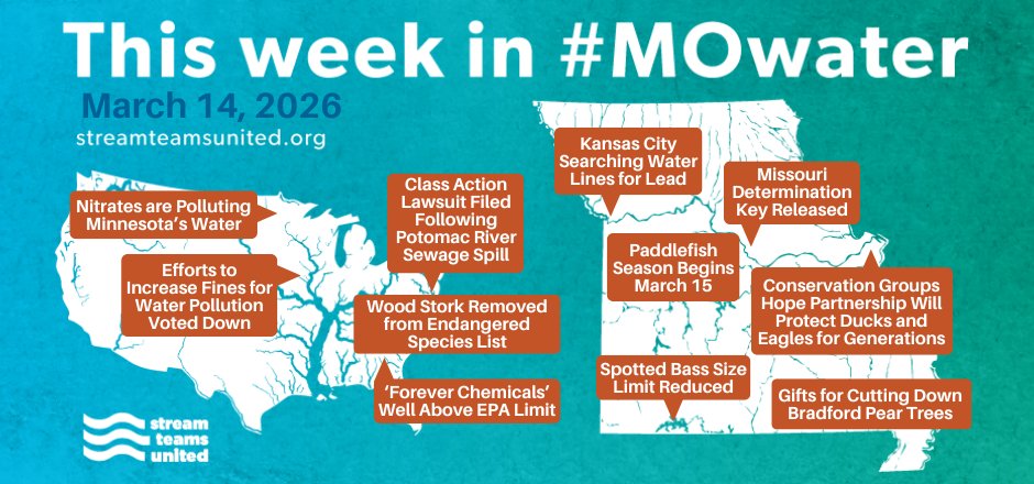 Stream Teams United tweet media