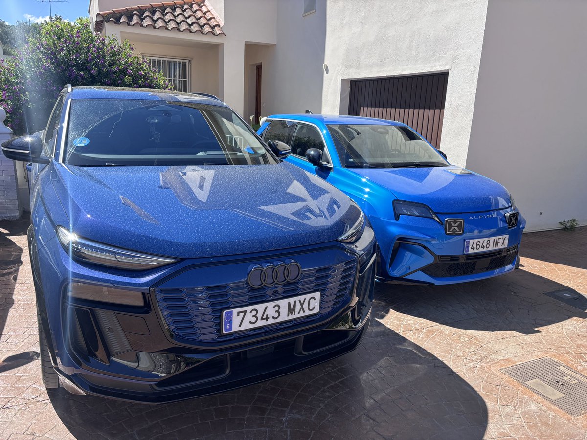 Alex Adalid tweet media