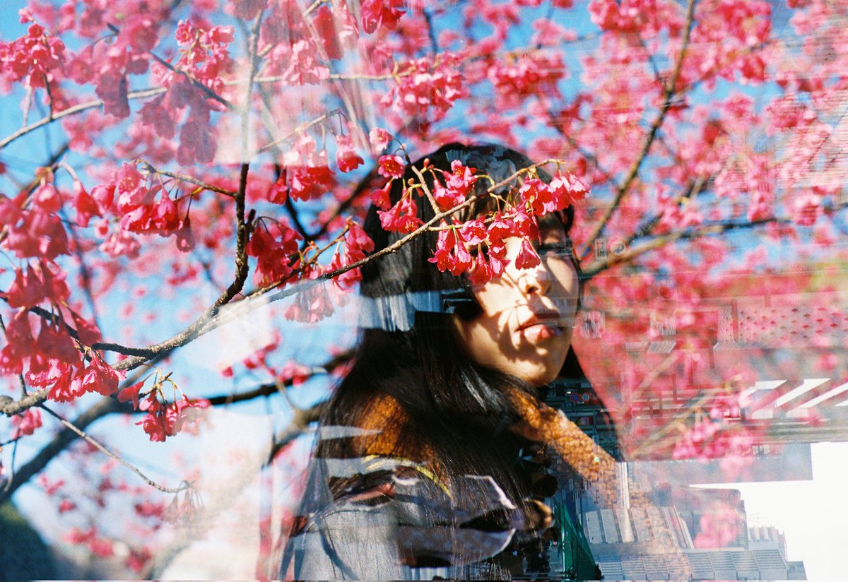 夢々🌸4/19撮影募集中 tweet media