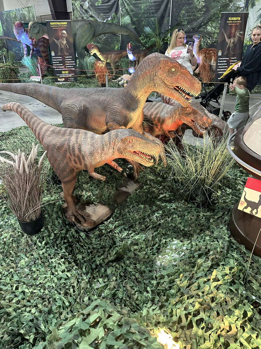 bigdealrob's tweet photo. @dinoincrisis @Sornaman2001
Took my boys to the Dino expo in Tulsa today. Lots of T-Rex sightings. Lots of T-Rex toys. Spino stuff? One single ugly ass Animatronic.
#tulsa #exposquare #trexrules #spinosux https://t.co/VkJ8M5Ihfm