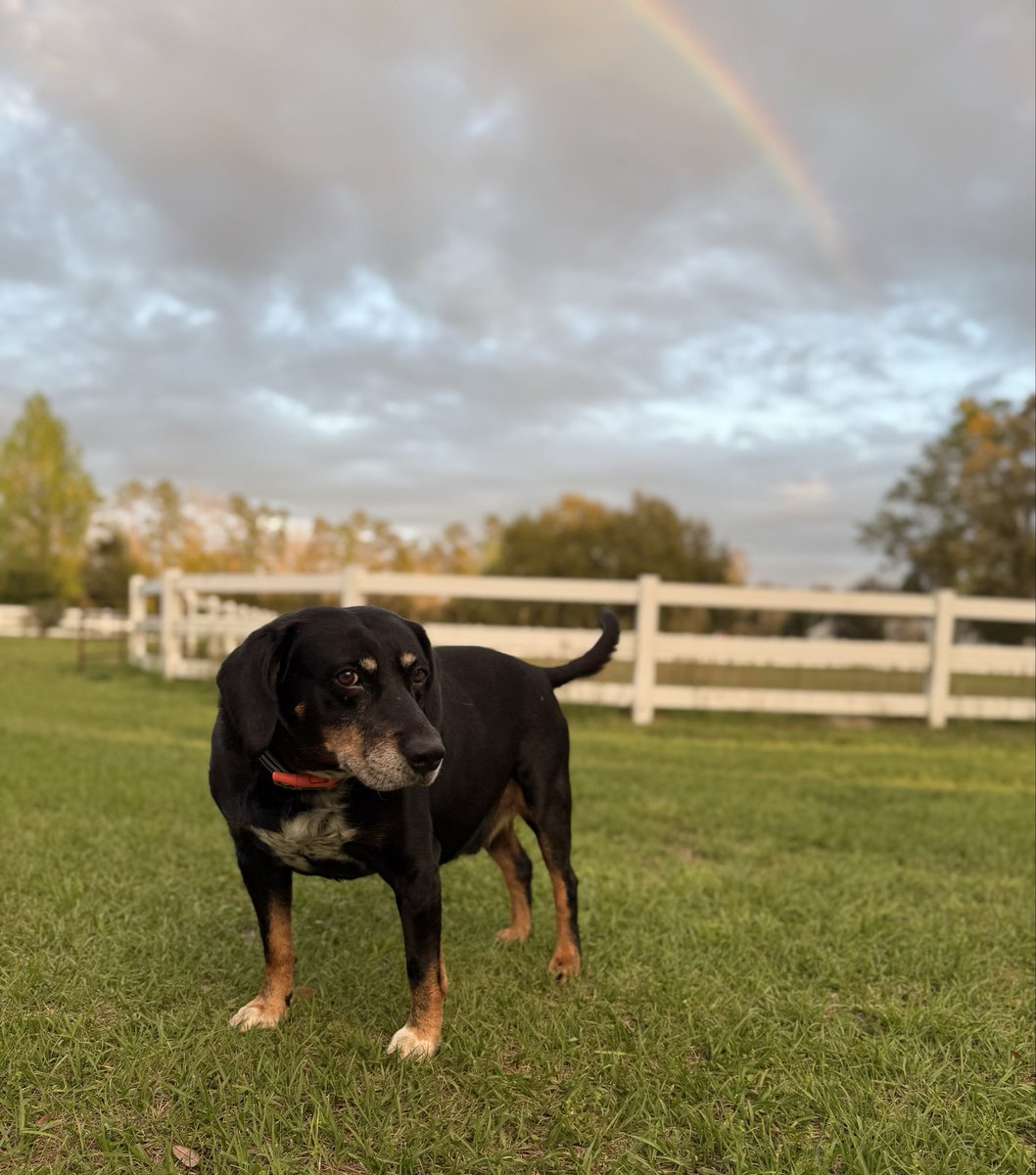 Catturd ™ tweet media