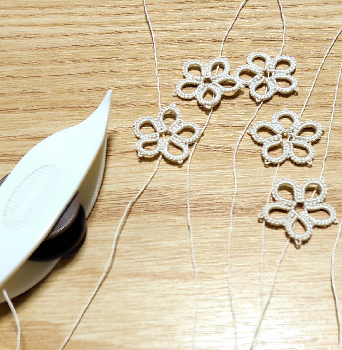 🌛ミカヅキ tweet media