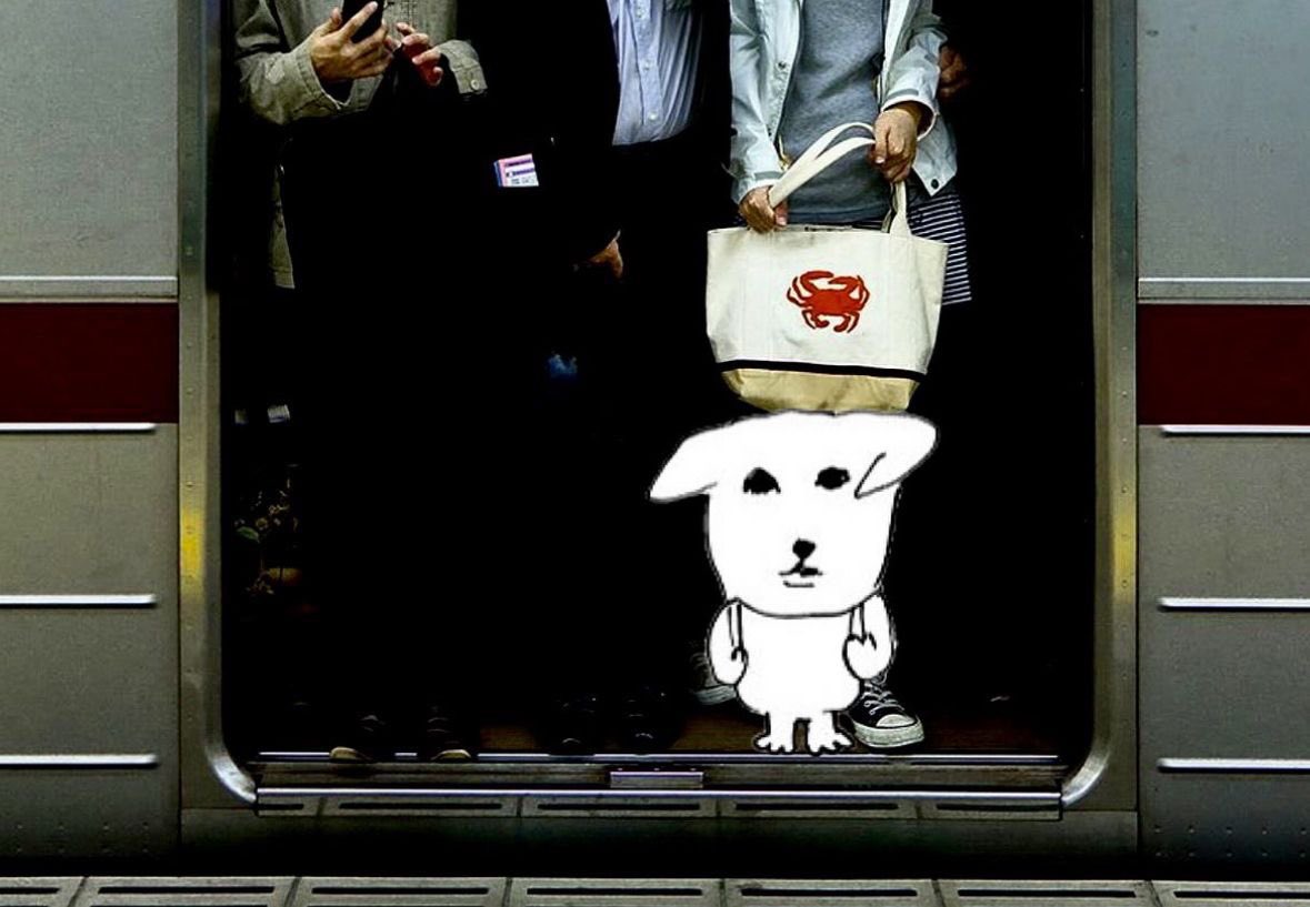 jjangdb3's tweet photo. #metomorrow https://t.co/xVcwT5IoCB