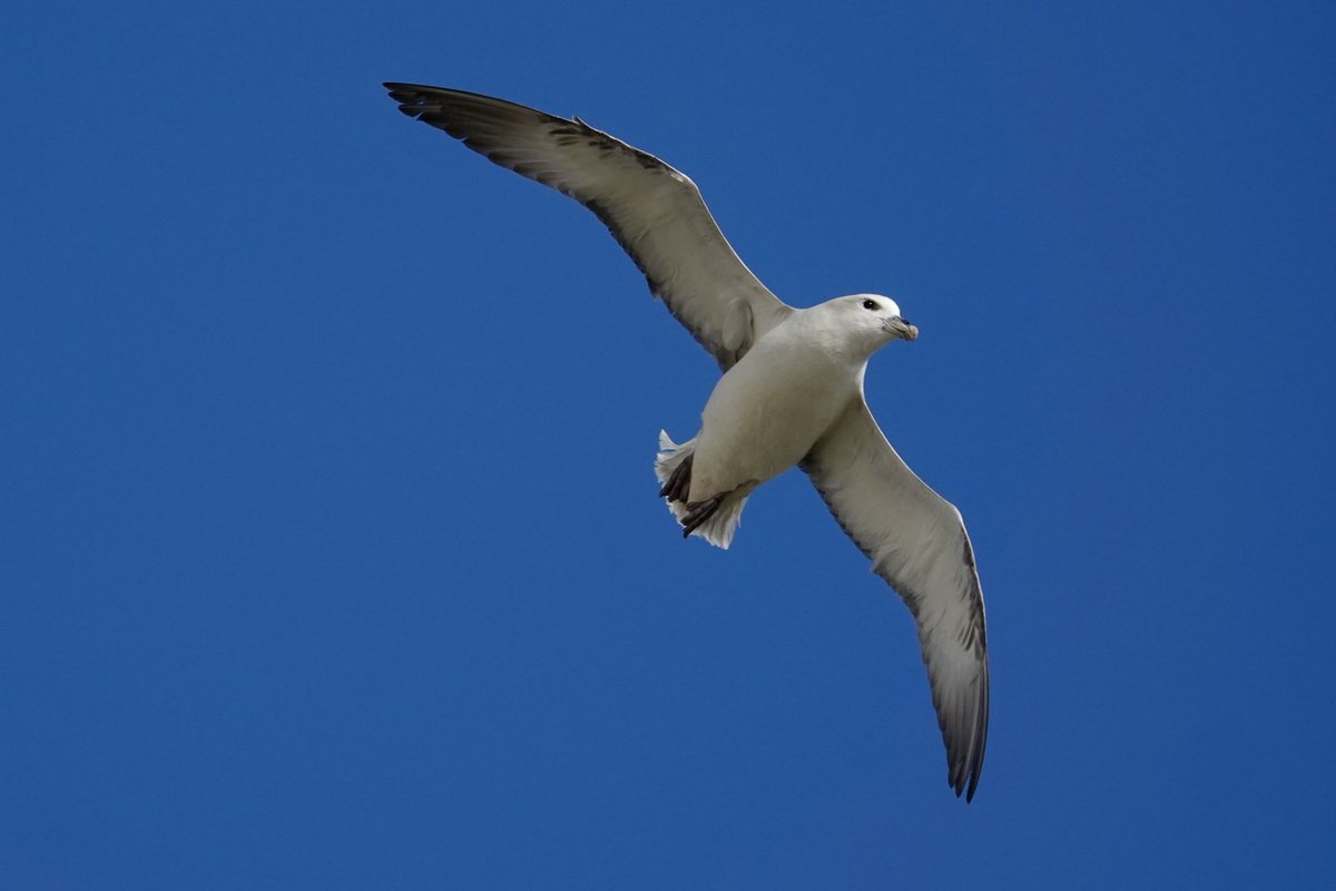 Rob Rackliffe tweet media