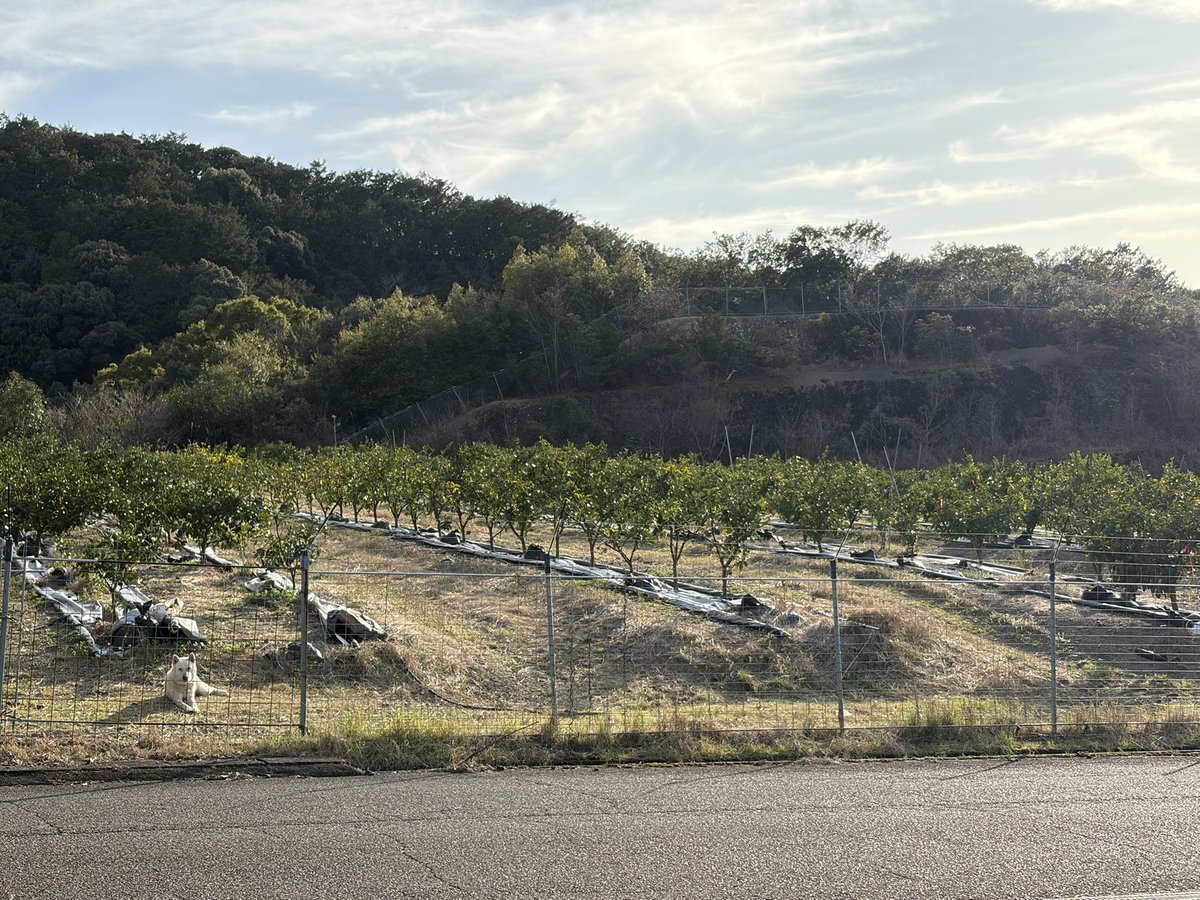 後藤 正賢|ComiVia CEO tweet media