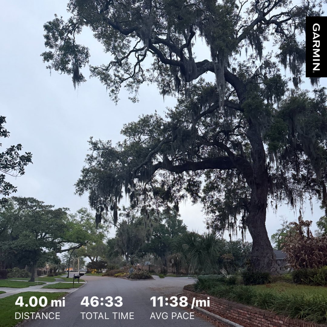 JohnBostonRowe's tweet image. A dreary start to the day so no sunrise to motivate me along the way. A nice cool breeze to push me along during some slow miles… 

#FloridaRunner #DailyRunner #SunriseRunner #KeepMoving

#RunningStreak: 2264 days