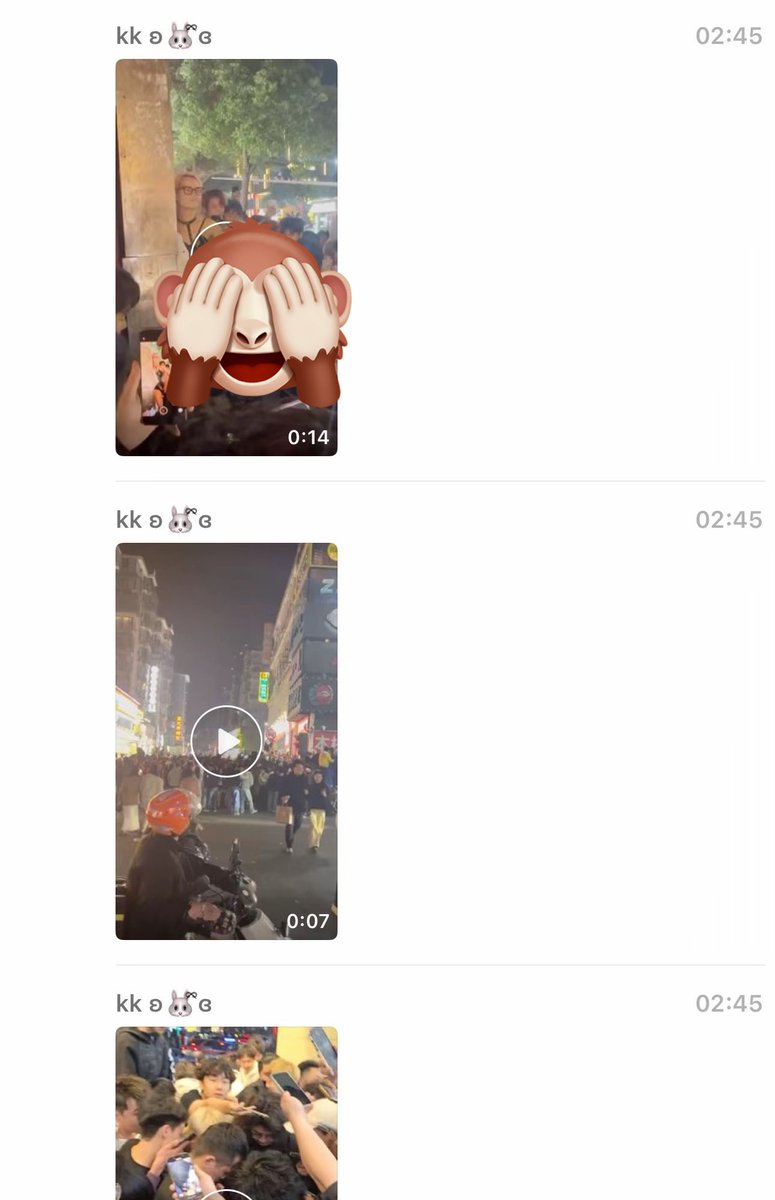 小猪 tweet media