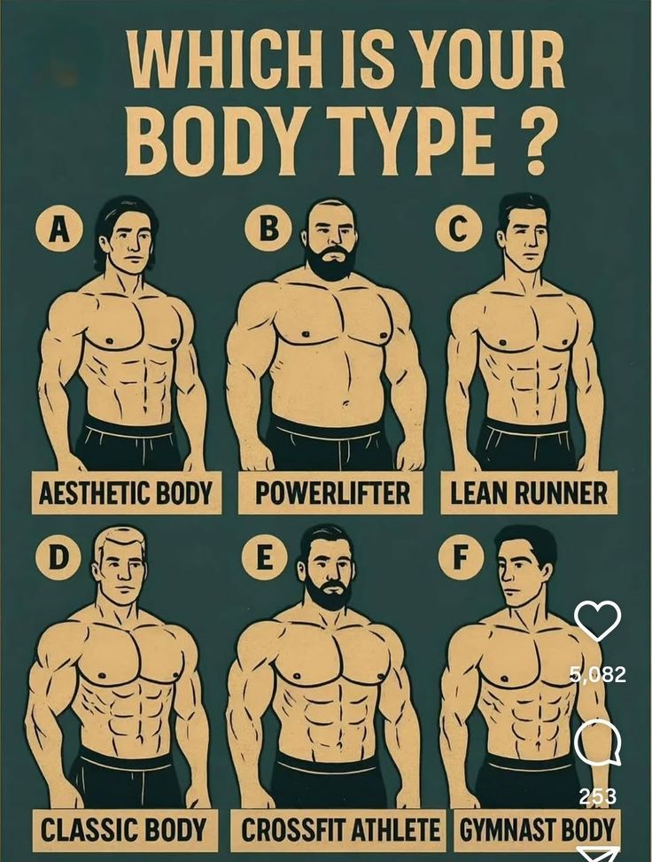Sin_City007's tweet photo. 💪 Everyone has a different body type and training style.
Which one fits you best?
A – Aesthetic Body
B – Powerlifter
C – Lean Runner
D – Classic Body
E – CrossFit Athlete
F – Gymnast Body
👇 Reply with your letter
#Fitness #GymLife #BodyType https://t.co/L69HLD76kE
