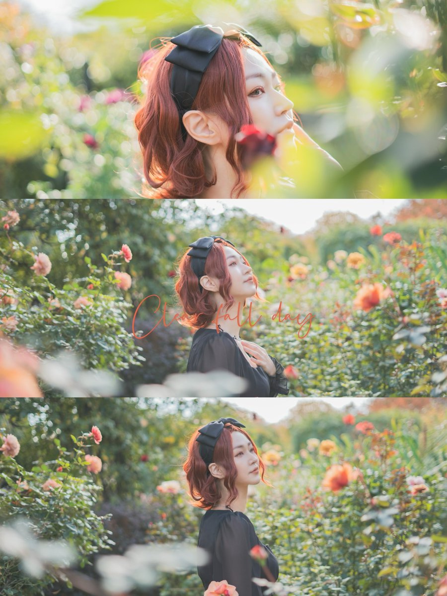 すもも。 tweet media