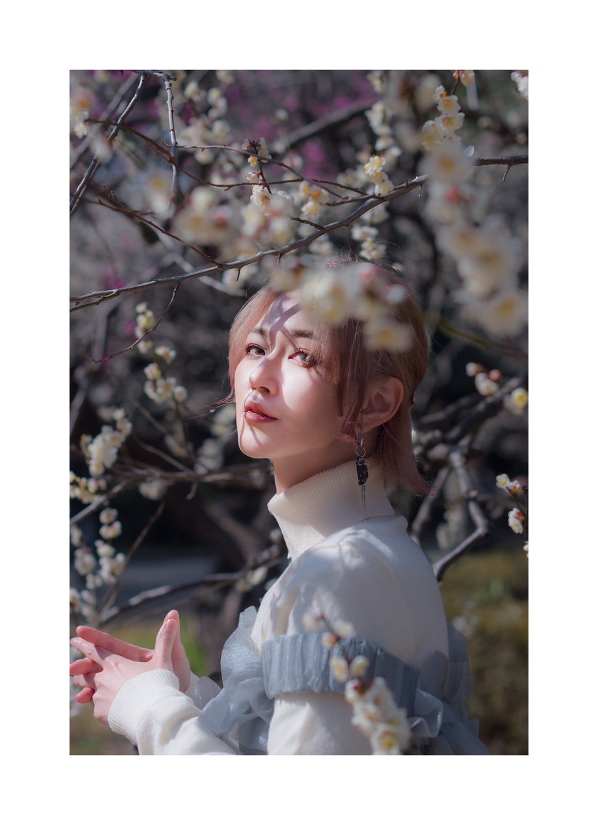 すもも。 tweet media