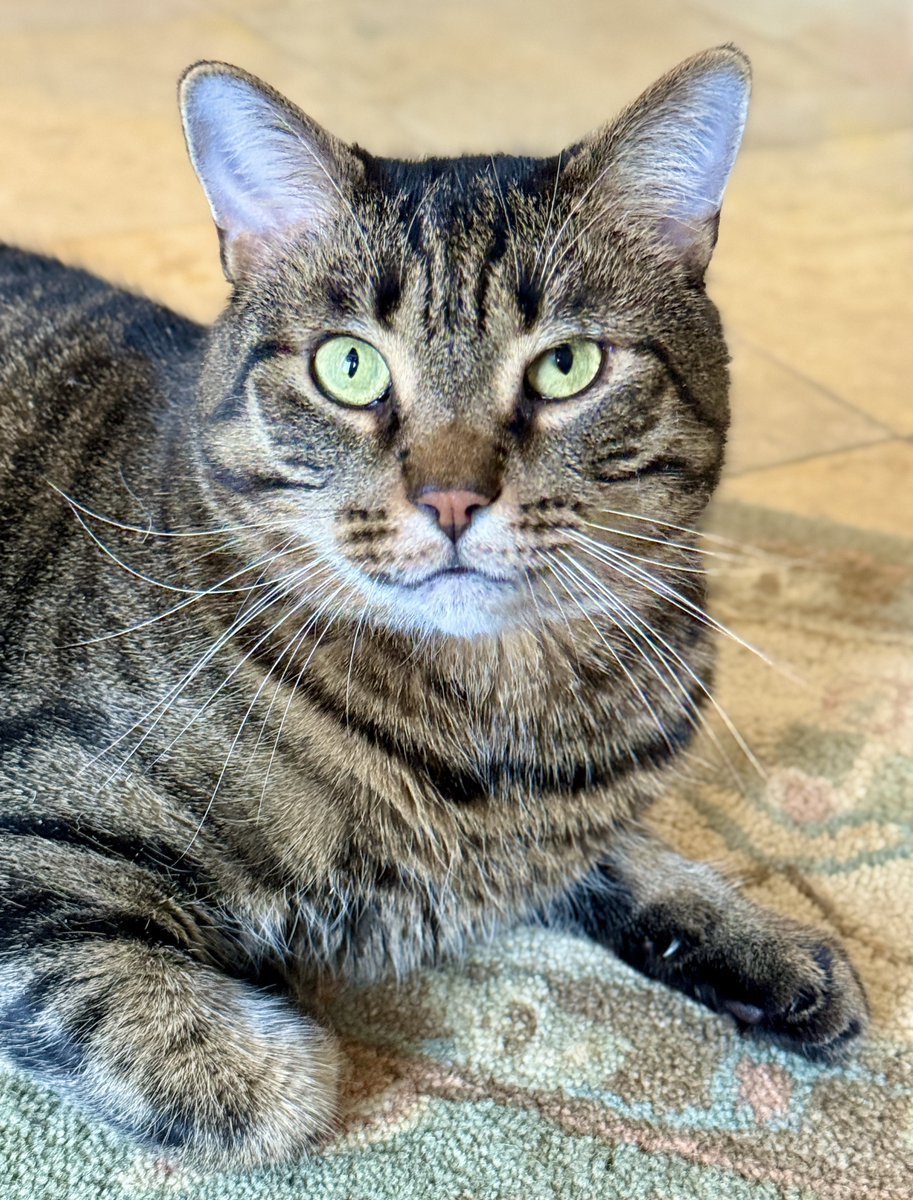 For the love of Missy. tweet media