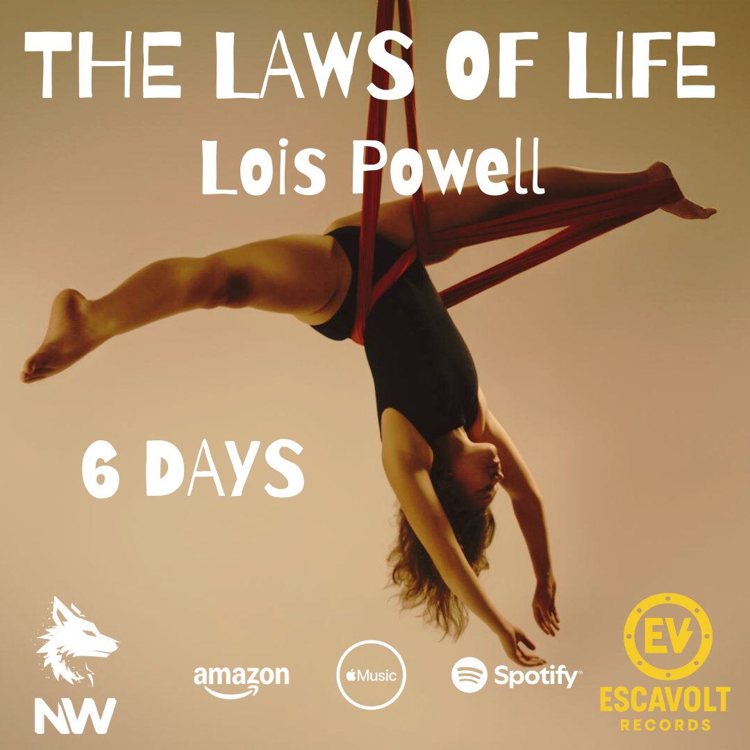 Night Wolf tweet media