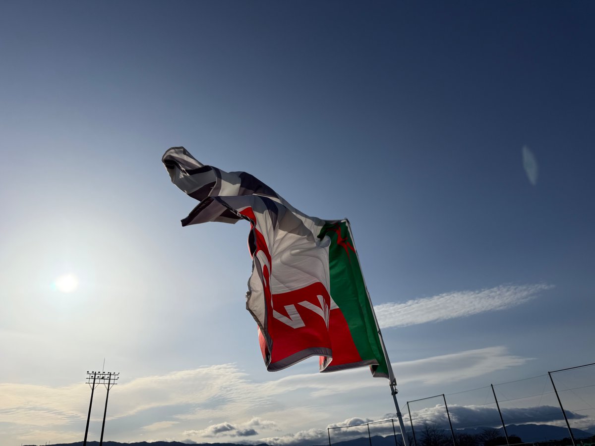 CoCoPaPa@双足飞龙的翅膀 tweet media