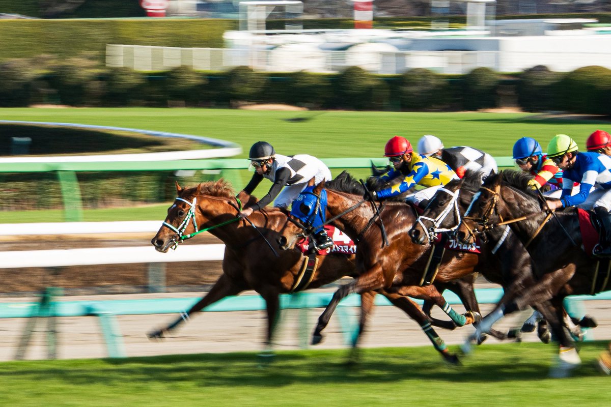 まれこ📸新規予定× tweet media