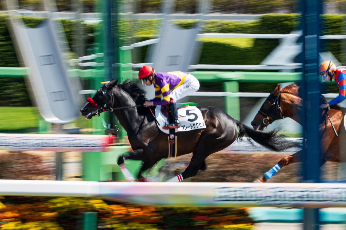 まれこ📸新規予定× tweet media