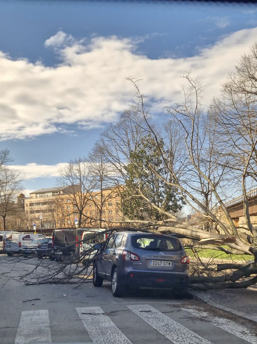 MarcPuigtio's tweet photo. 🌳 Les ventades d’avui tornen a evidenciar un problema a Girona: la falta de poda a molts arbres.

Branques grans, i fins i tot alguns arbres, cauen i posen en risc els veïns. Cal actuar amb urgència als carrers per garantir la seguretat. https://t.co/kSBy3YM1fm