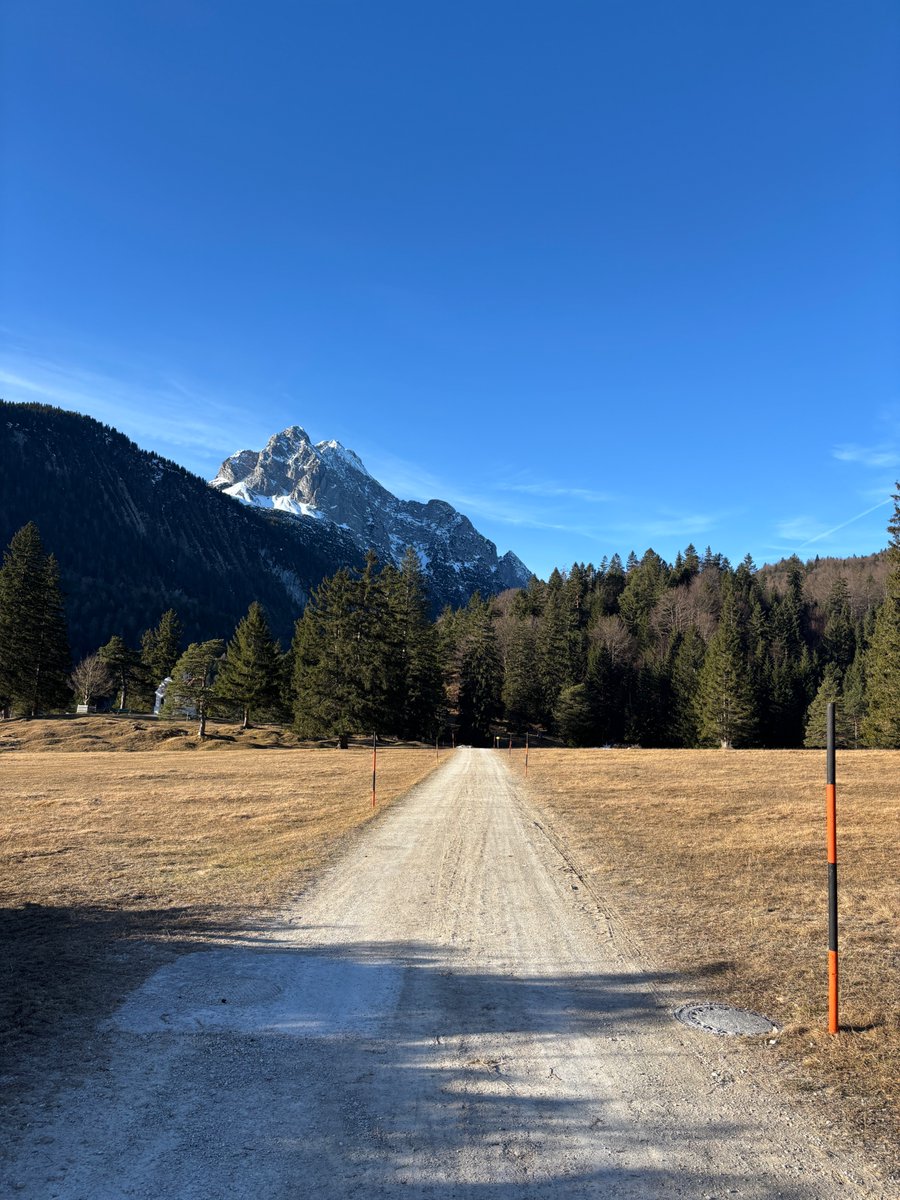 AncestralHealth☀️ tweet media