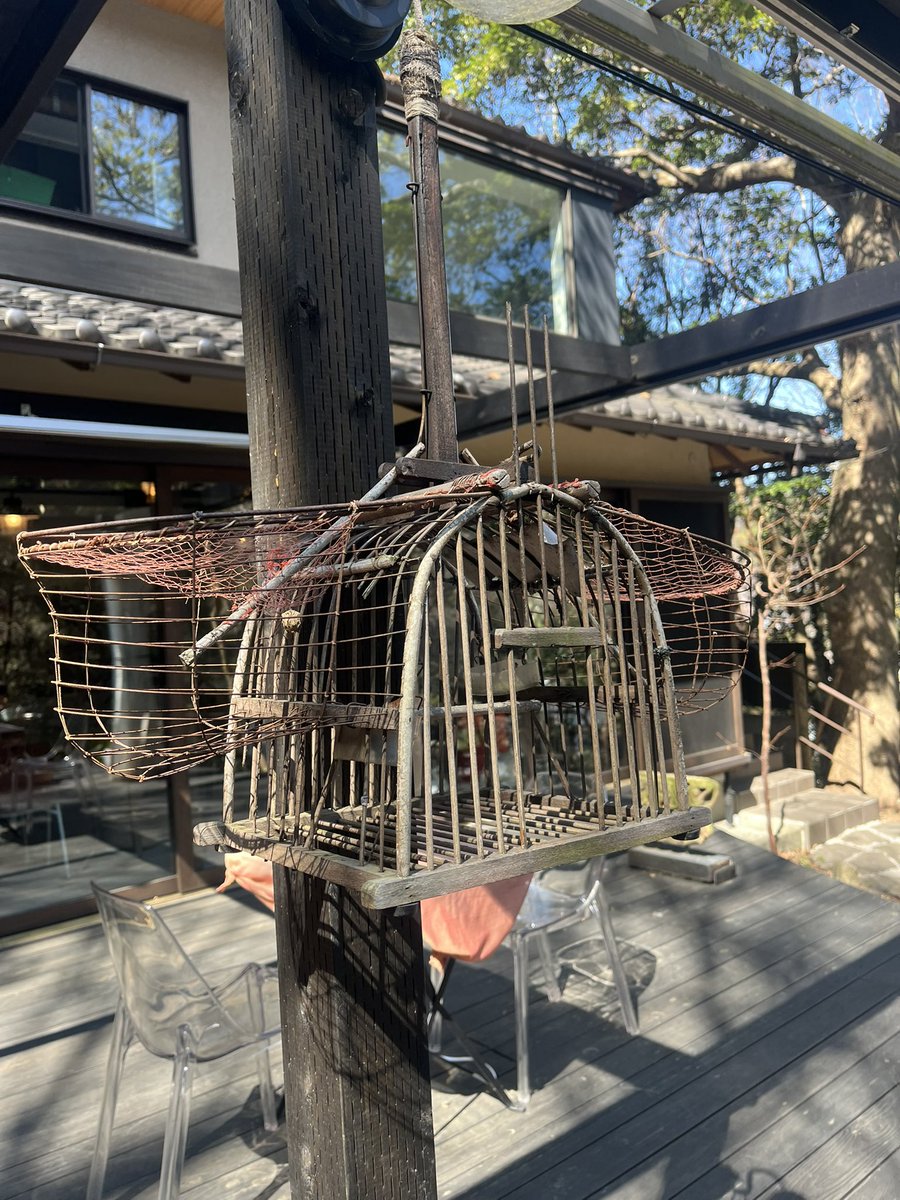 ﾜﾝﾁｬﾝ tweet media