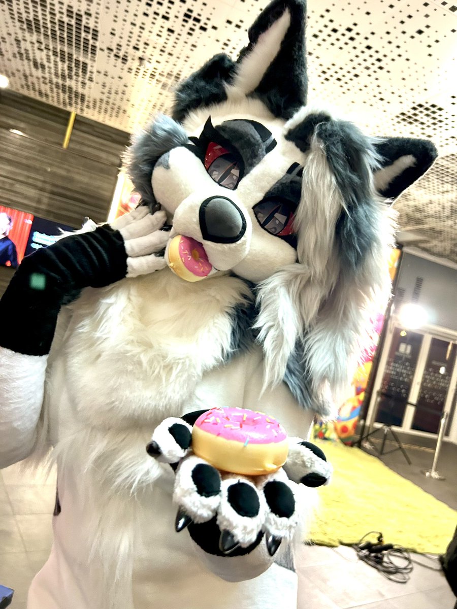 Loona 🌙 🐺 tweet media