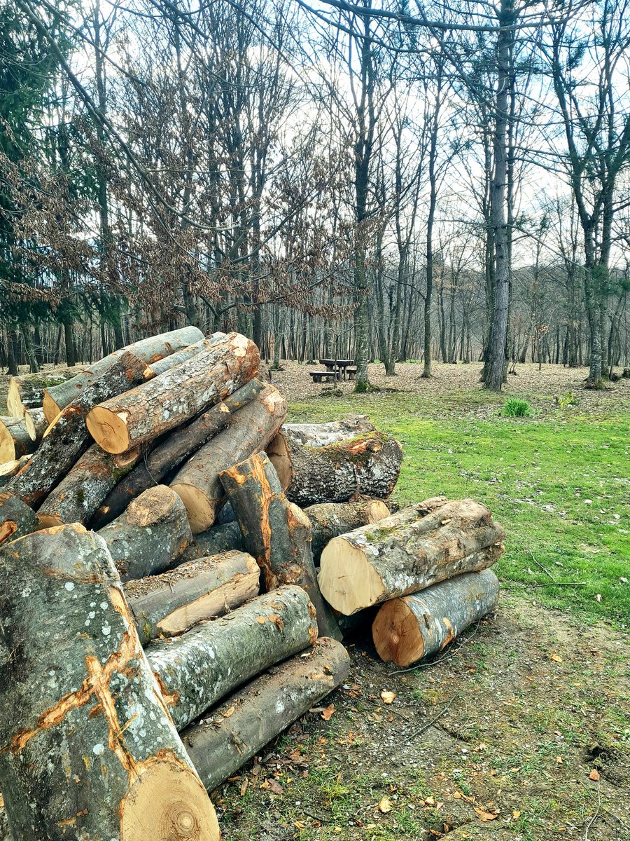 Ramo Bunić tweet media