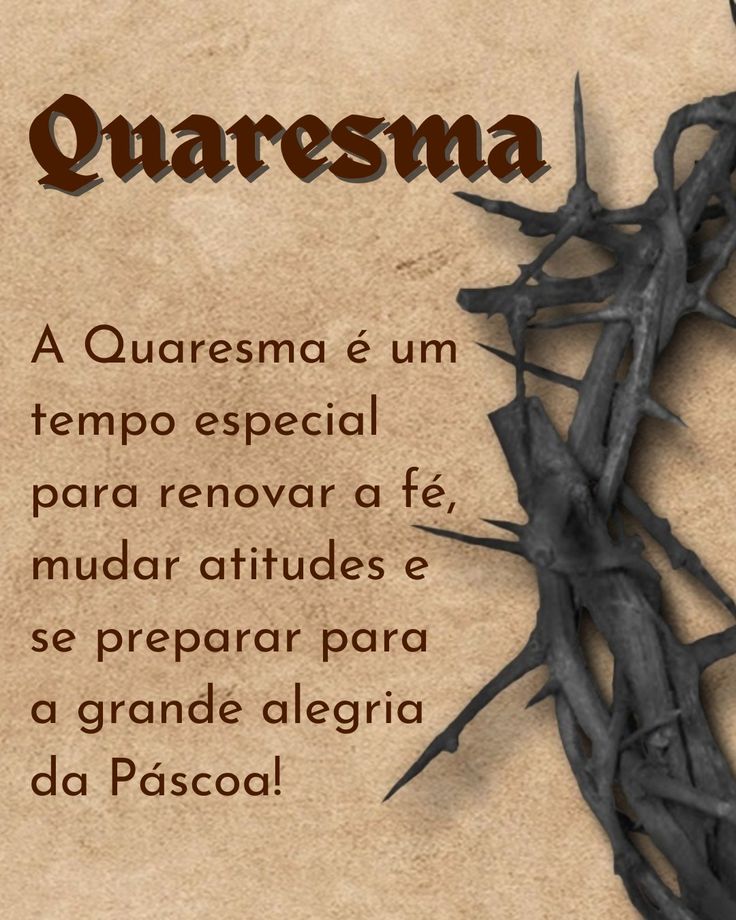 Ana Erlene tweet media