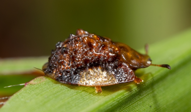 Credit Valley Conservation tweet media