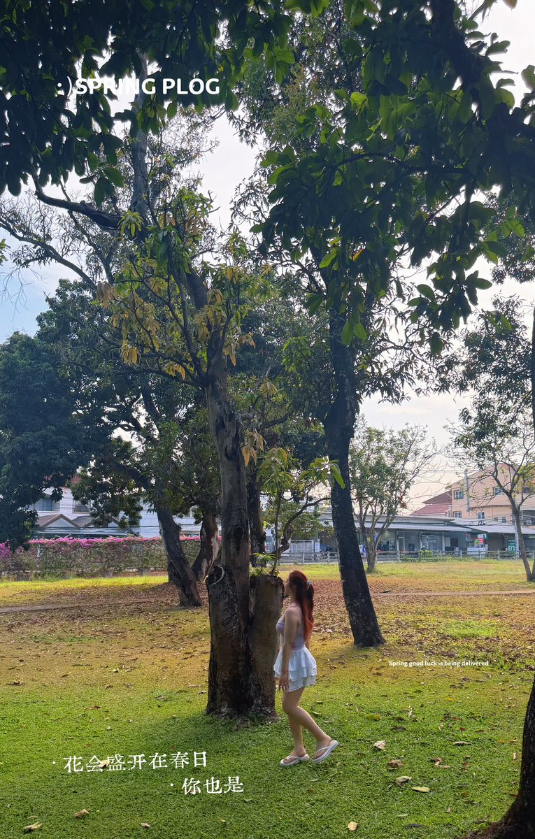 Super_Rachel827's tweet photo. 爱自己的任何样子
以任何方式💚
超cill的一家咖啡厅🌿 https://t.co/z2FL8D9Xqb