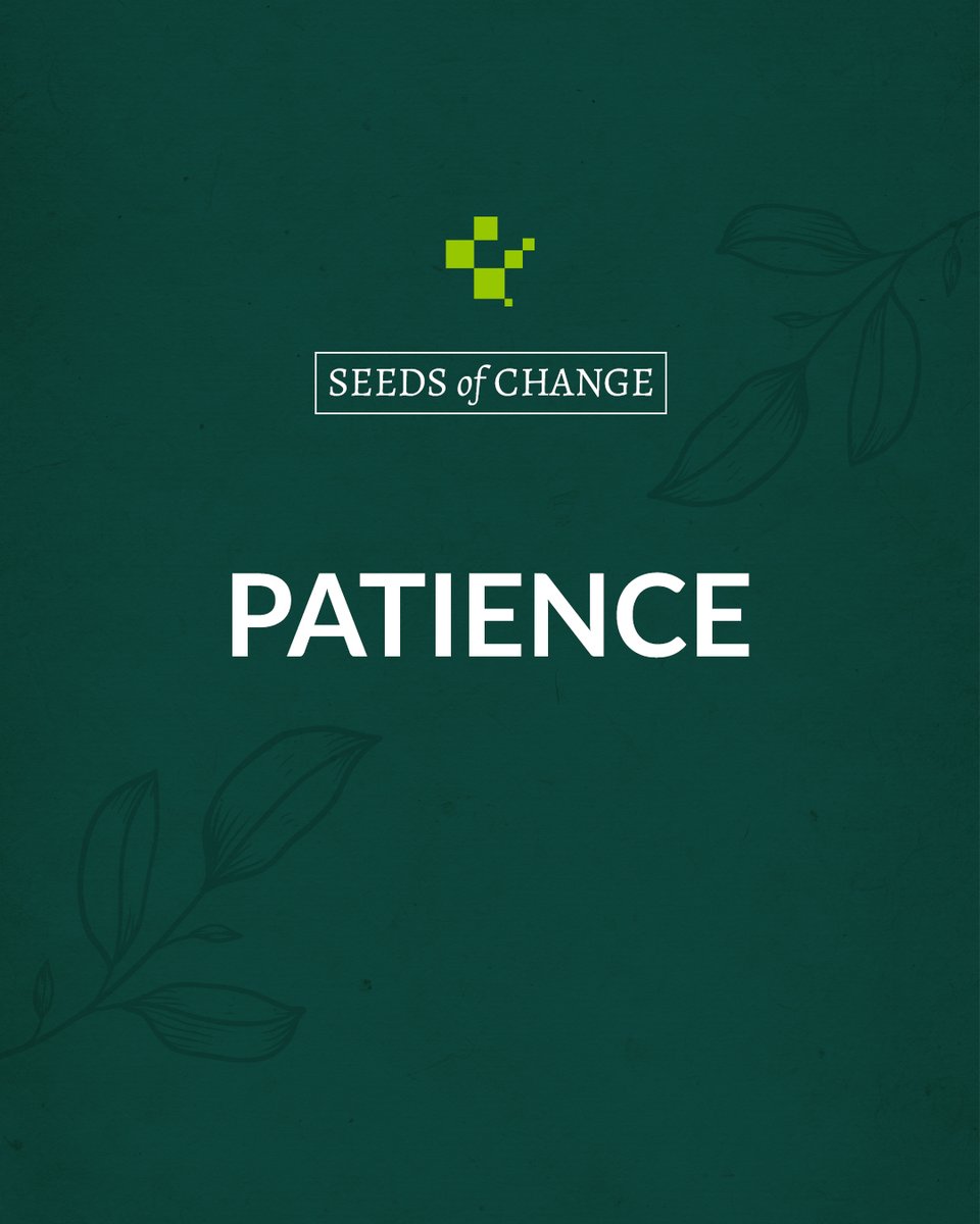 JimBarlows's tweet image. Patience is the quiet strength that bridges your dreams with reality.  

#SeedsOfChange #StayPatient #QuietStrength #DreamBridges