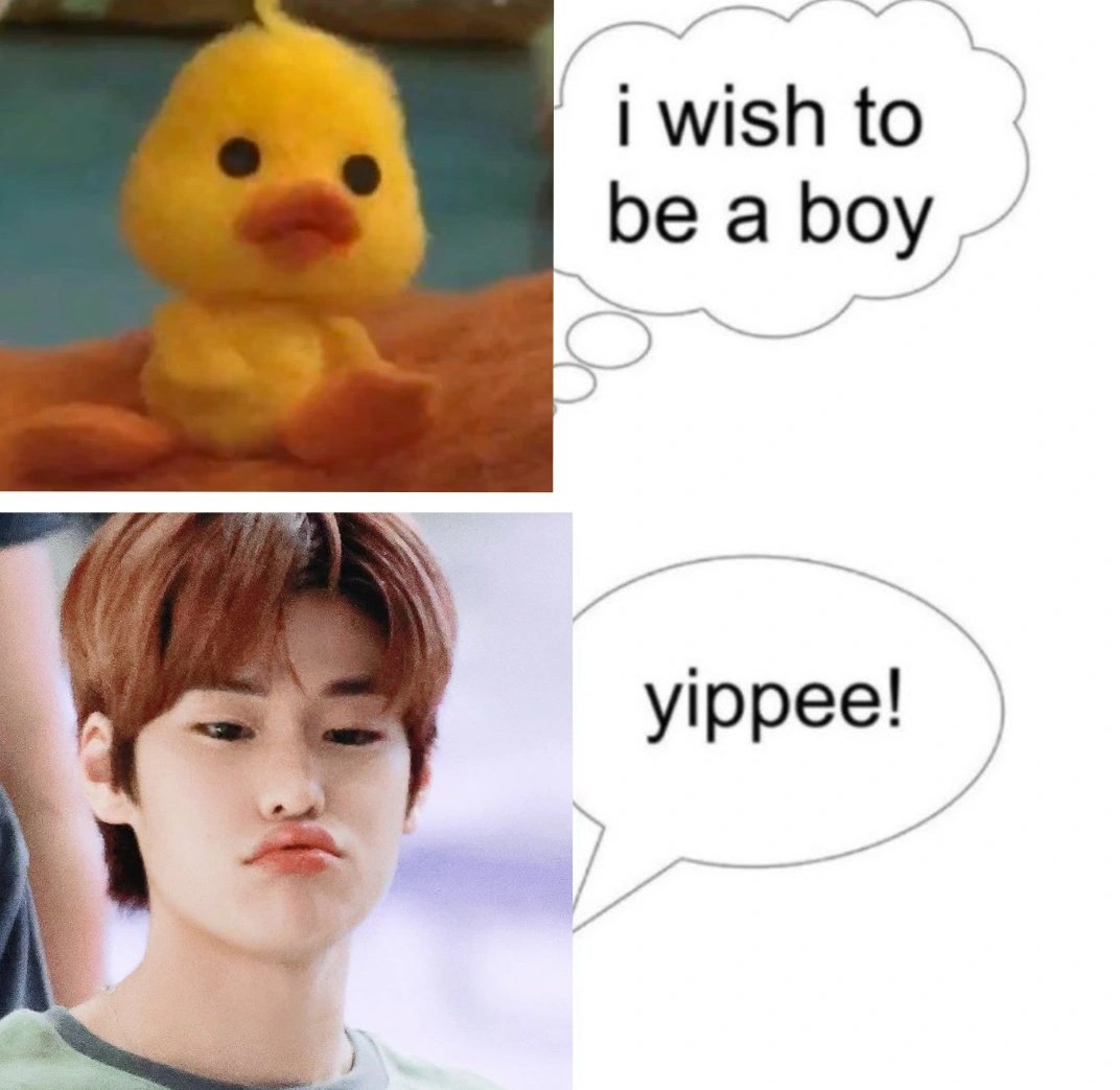 sienna, 🪷 tweet media