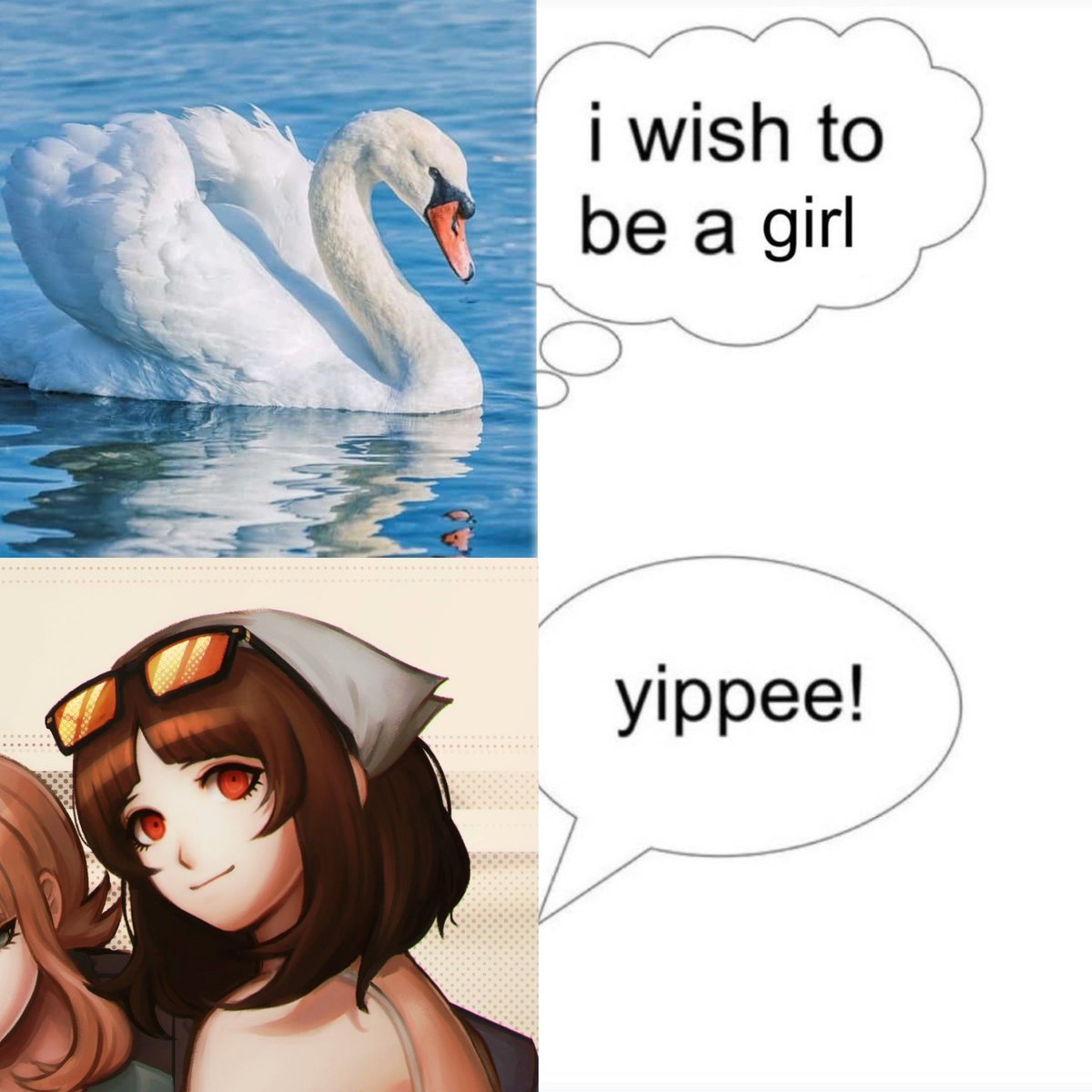 percy 🦢 back to eloiseposting tweet media