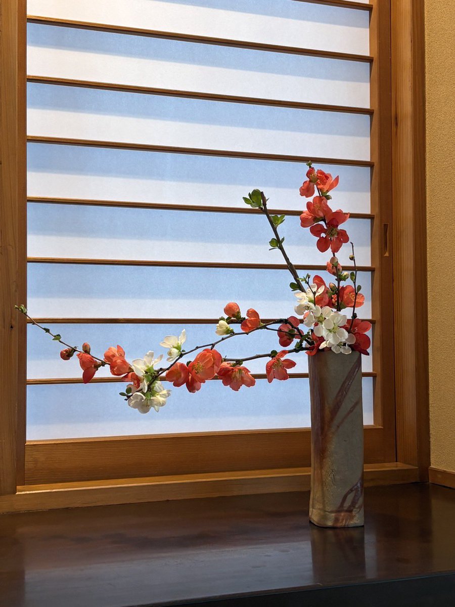 少しずつ春が近づいてきましたね。梅が咲き終わって、今は木瓜が満開です。実はこの花器は以前、備前の伊勢崎先生の工房で作らせて頂いたもの。自己流ですが、この花を生けるにはいい感じでしょうか？