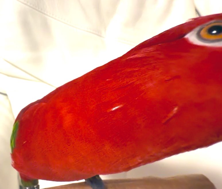 Hideaki Utsumi tweet media