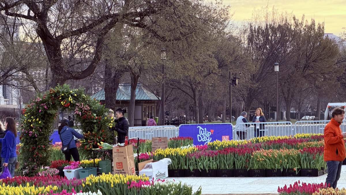 Matthew Henry tweet media