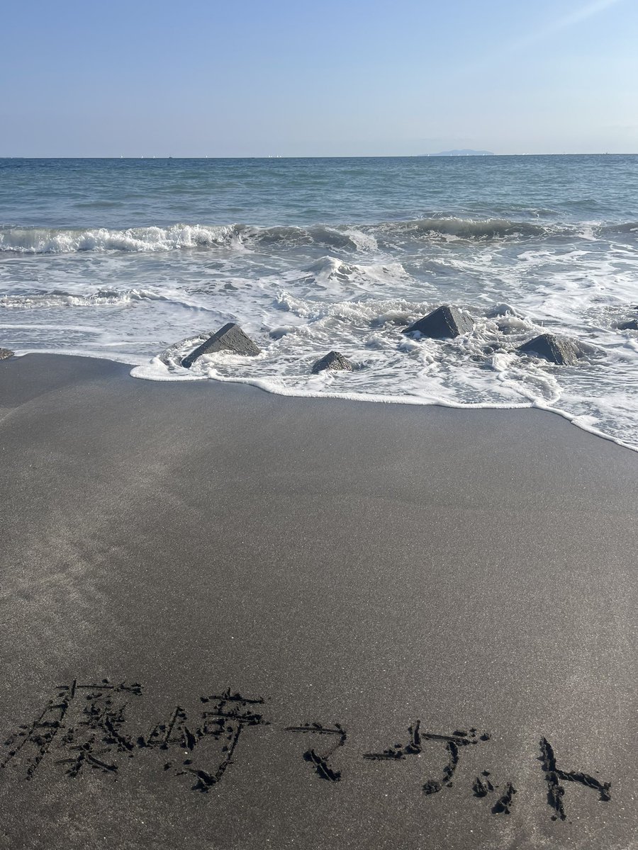 ﾜﾝﾁｬﾝ tweet media