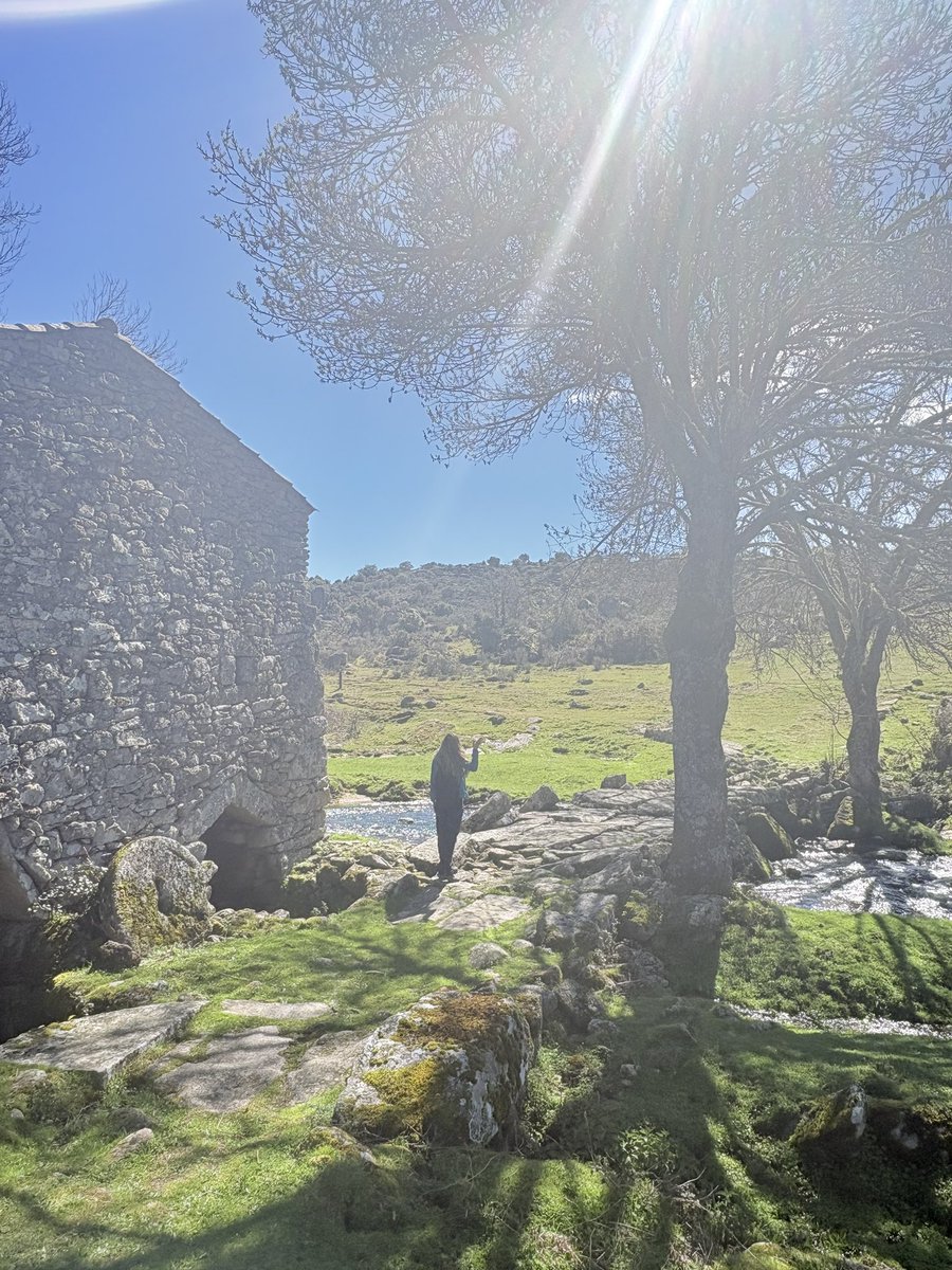 Guille Martín tweet media