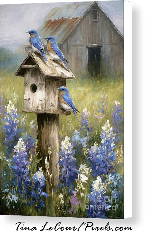 TinaLeCour's tweet photo. Bluebirds And Lupine...Available here...https://t.co/MZQe4jZx5W
#birds #bird #NatureScenery #NatureBeautiful #nature #naturelovers #wildlife #wallart #flowers #flower #floral #spring #painting #gifts #giftideas #greetingcards #puzzles #rustic #rusticwallart #rustichomedecor #bluebirds