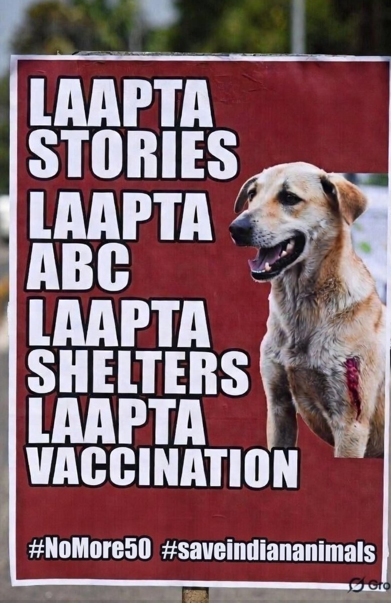 rashim s tweet media