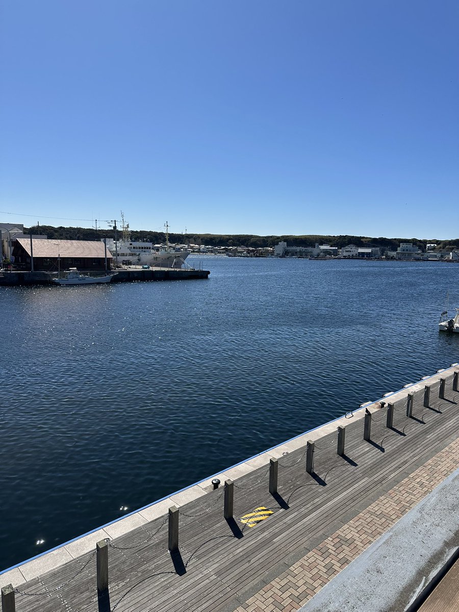 シングルパパ　あきひろと tweet media