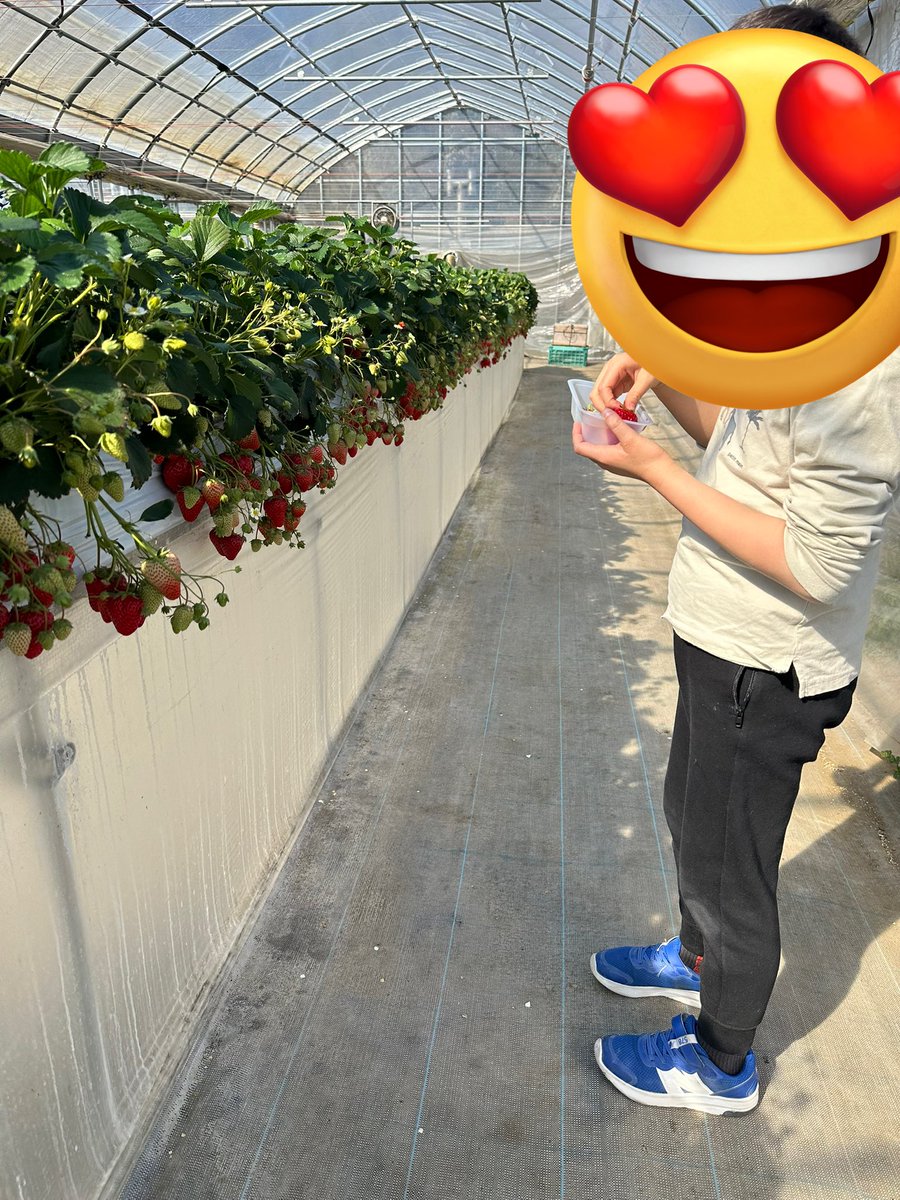 シングルパパ　あきひろと tweet media