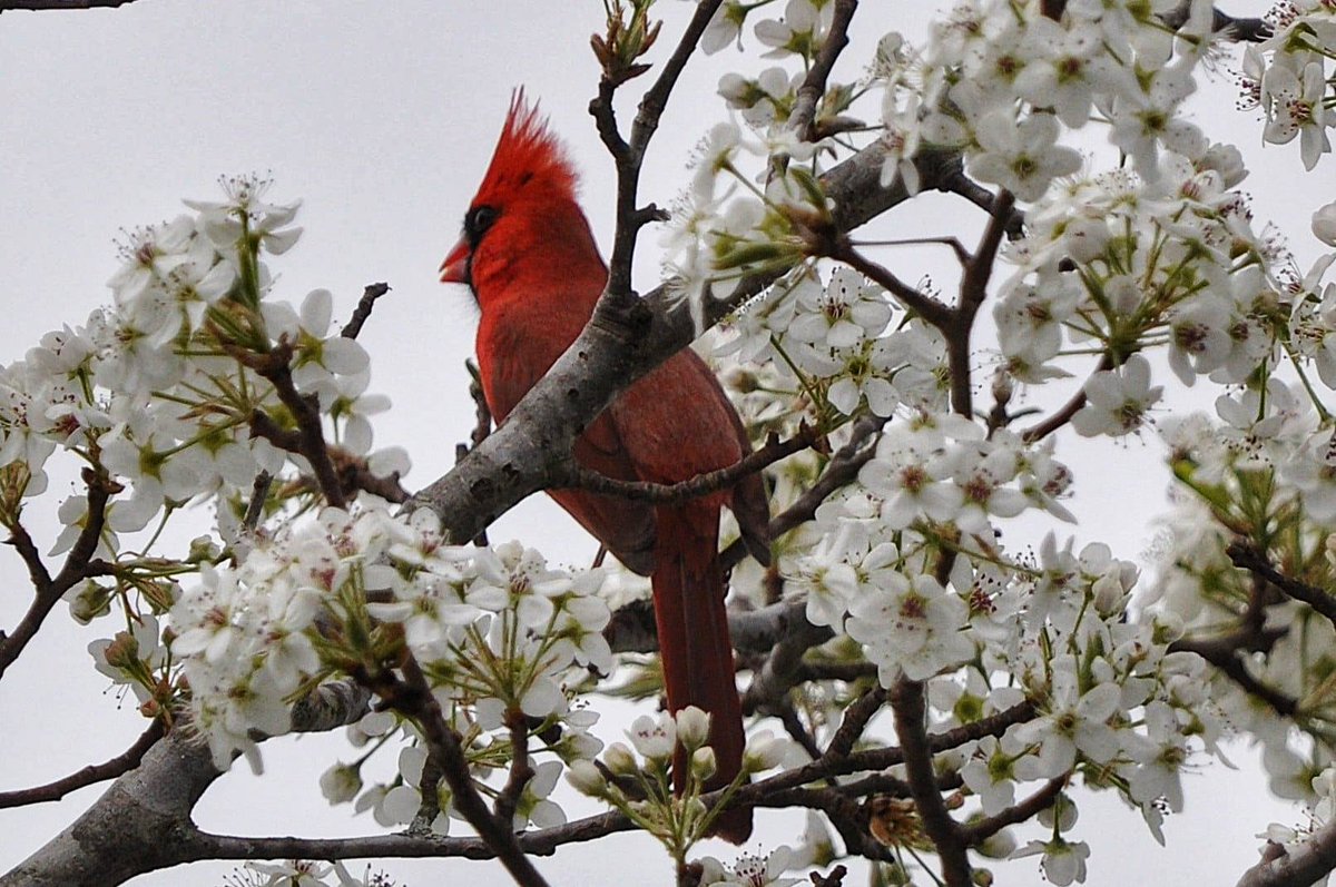 ❤️‍🩹Rocco DiBari❤️‍🩹 tweet media