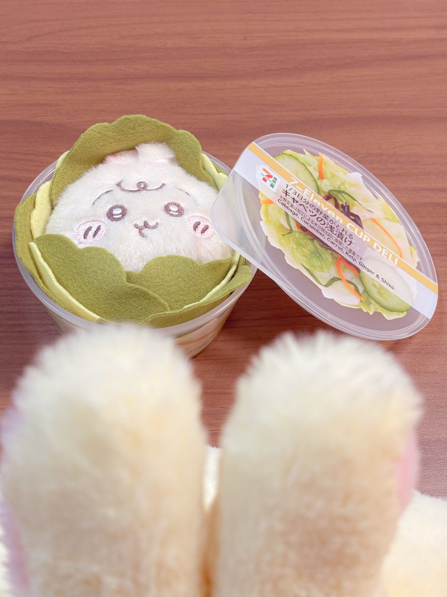 キャベツの浅漬け🐰🫣