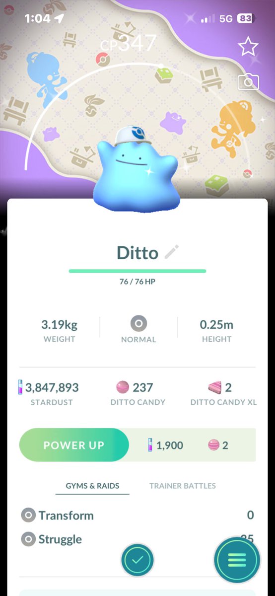 hkish_'s tweet photo. Even if I can’t play Pokopia, I’ll settle with a shiny Pokopia hat event Ditto https://t.co/cbDjw9ZKXk