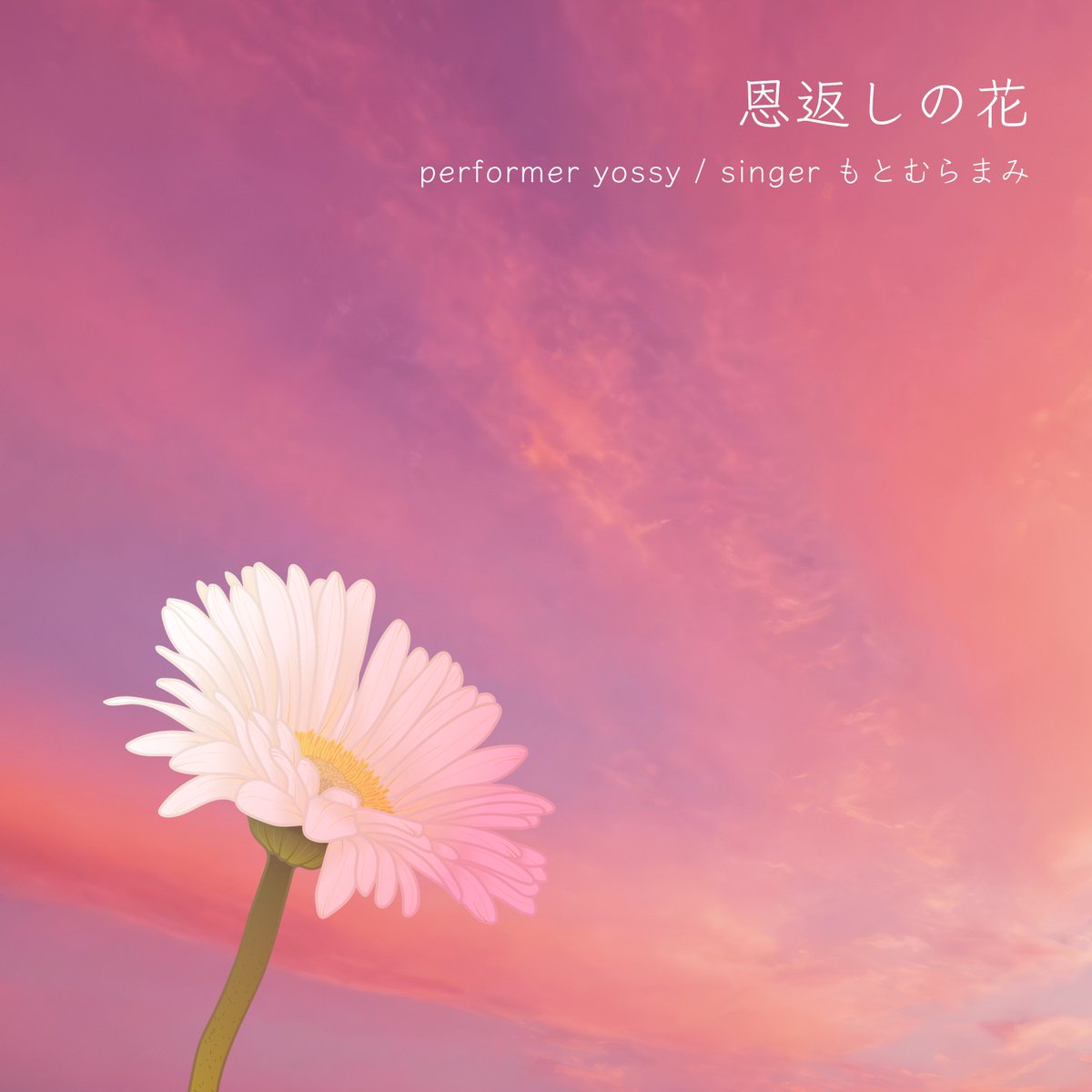 【公式】音楽を映像に/yossy(よっしー)ライブ情報 tweet media