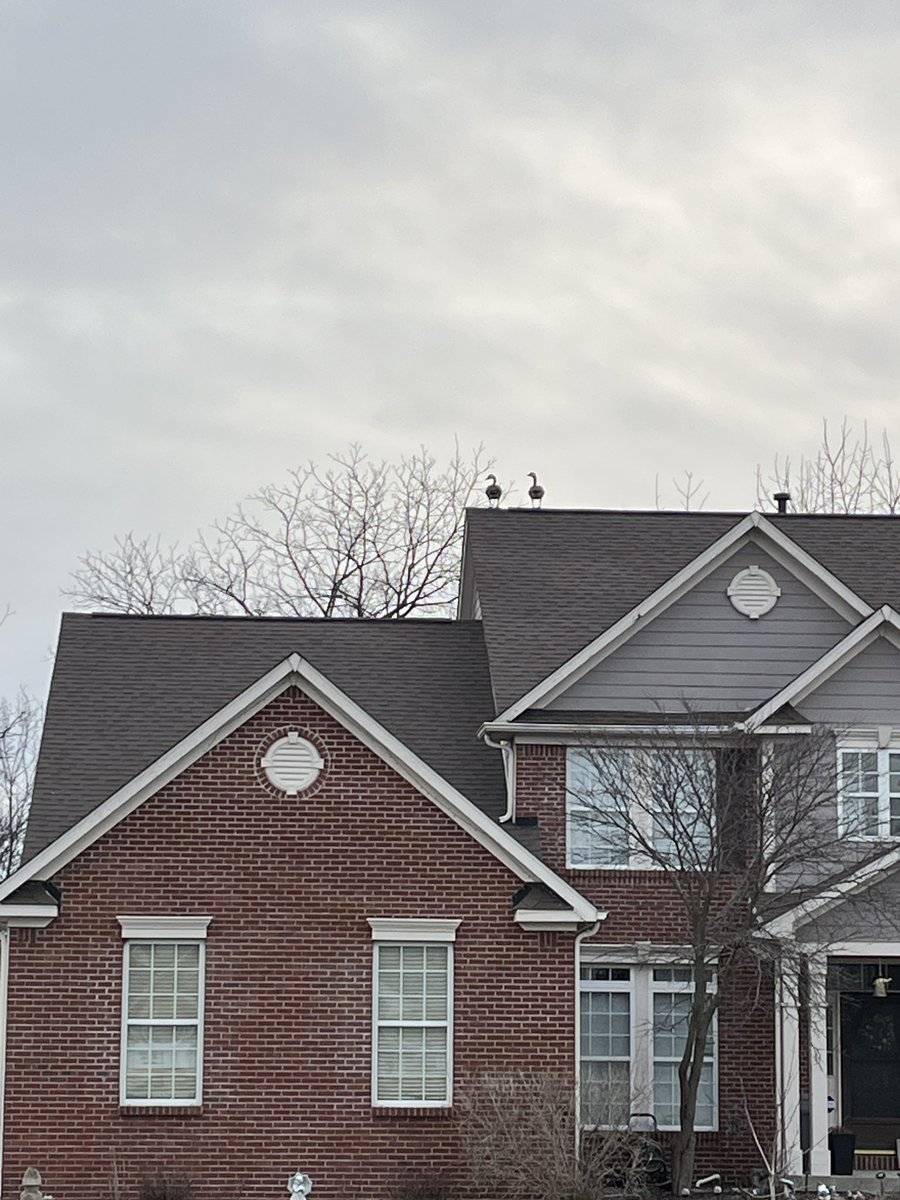 Ben | Father of Four tweet media